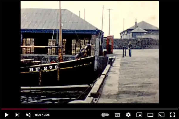 16mm Cine Film Example